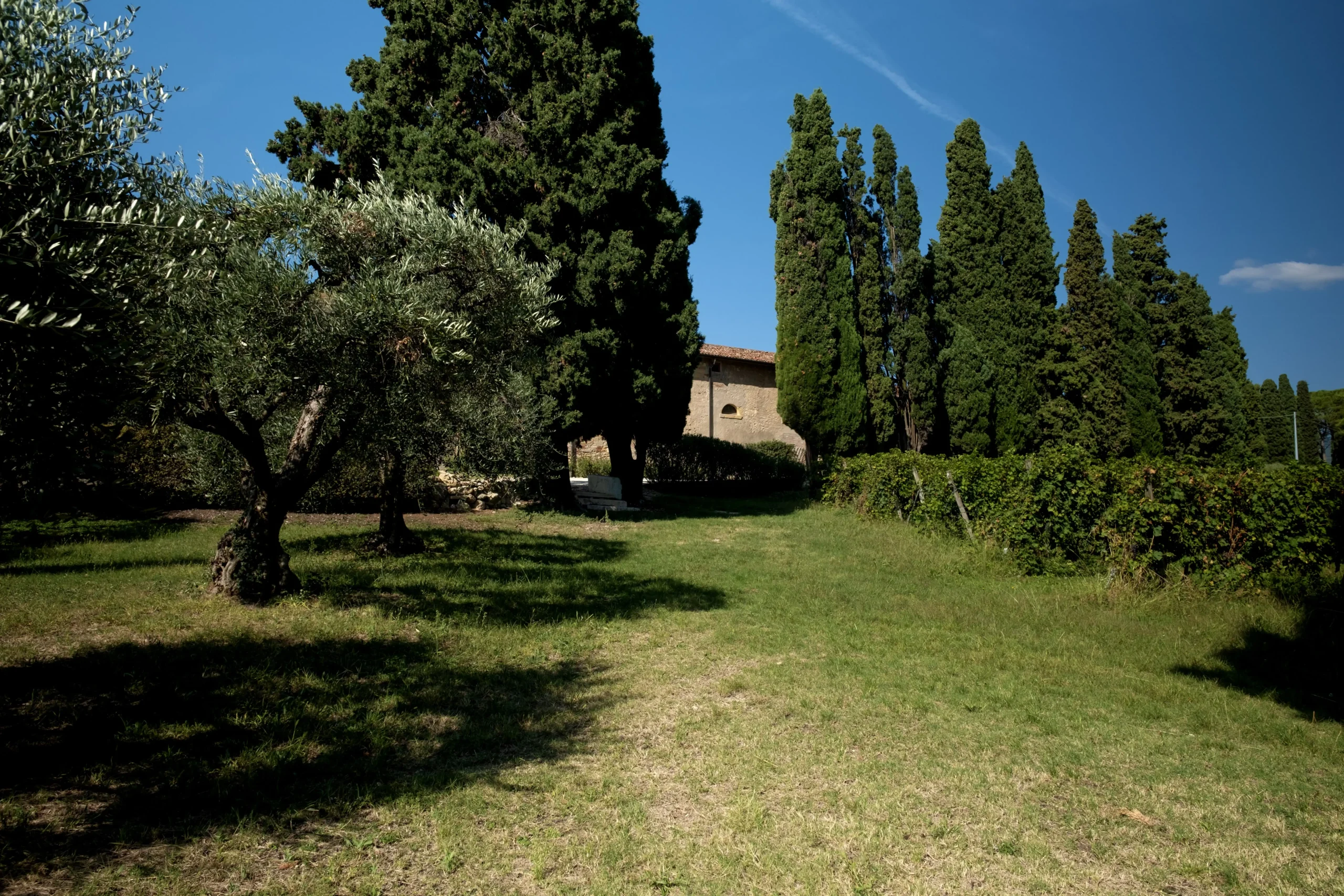 Ulivi e cipressi nei giardini di Villa Marchesi Fumanelli a Verona