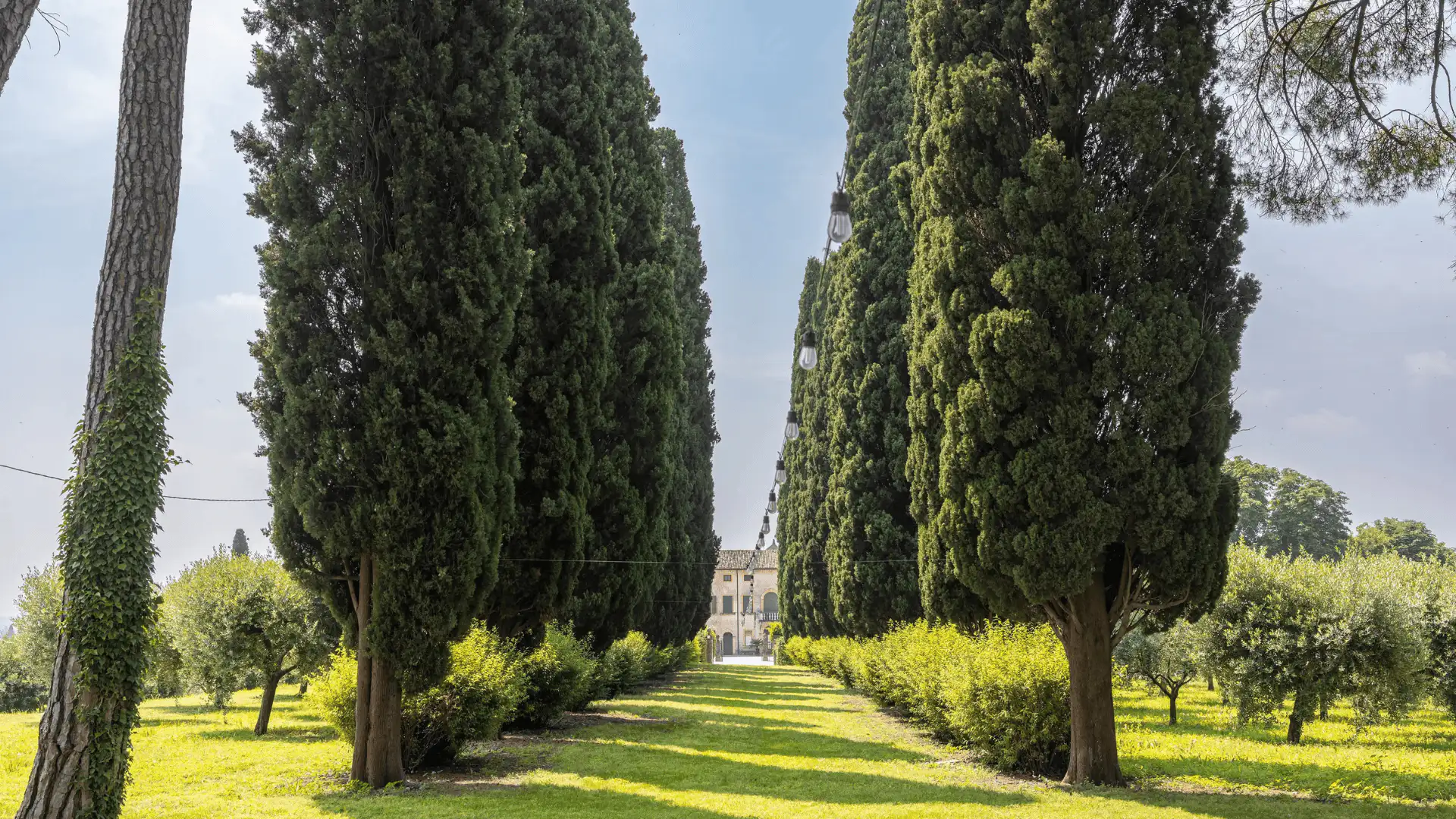 Viale alberato con cipressi secolari che conduce alla villa Marchesi Fumanelli in Valpolicella.