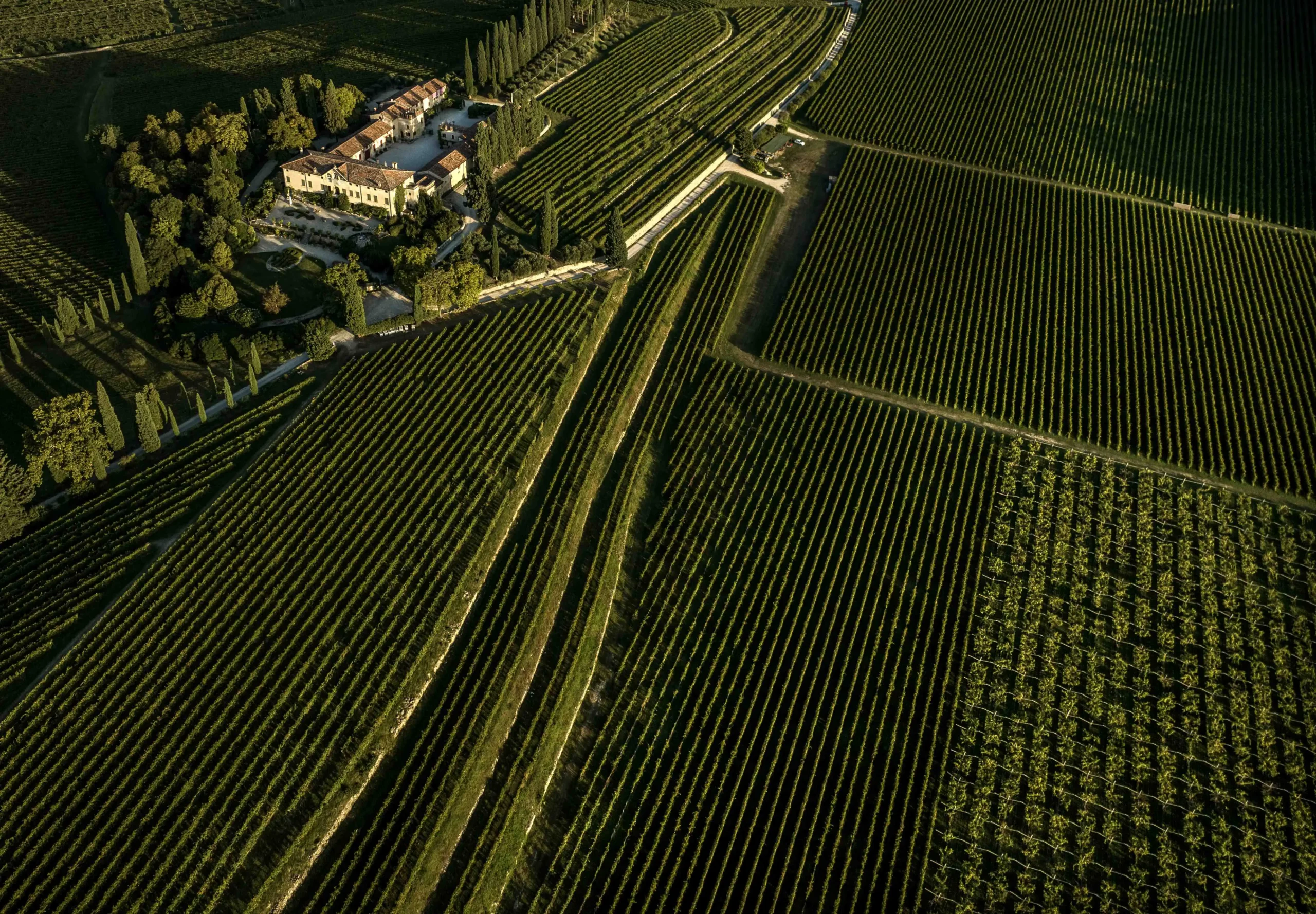 Vigneti della Valpolicella con Villa Fumanelli al tramonto vista dall’alto.